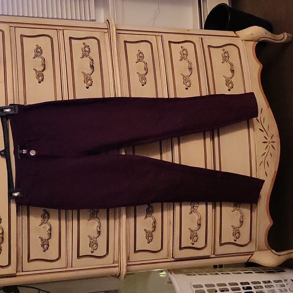 Dictionary pants